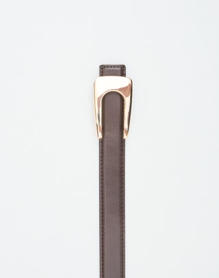 Statement Buckle Belt in Brown X Gold